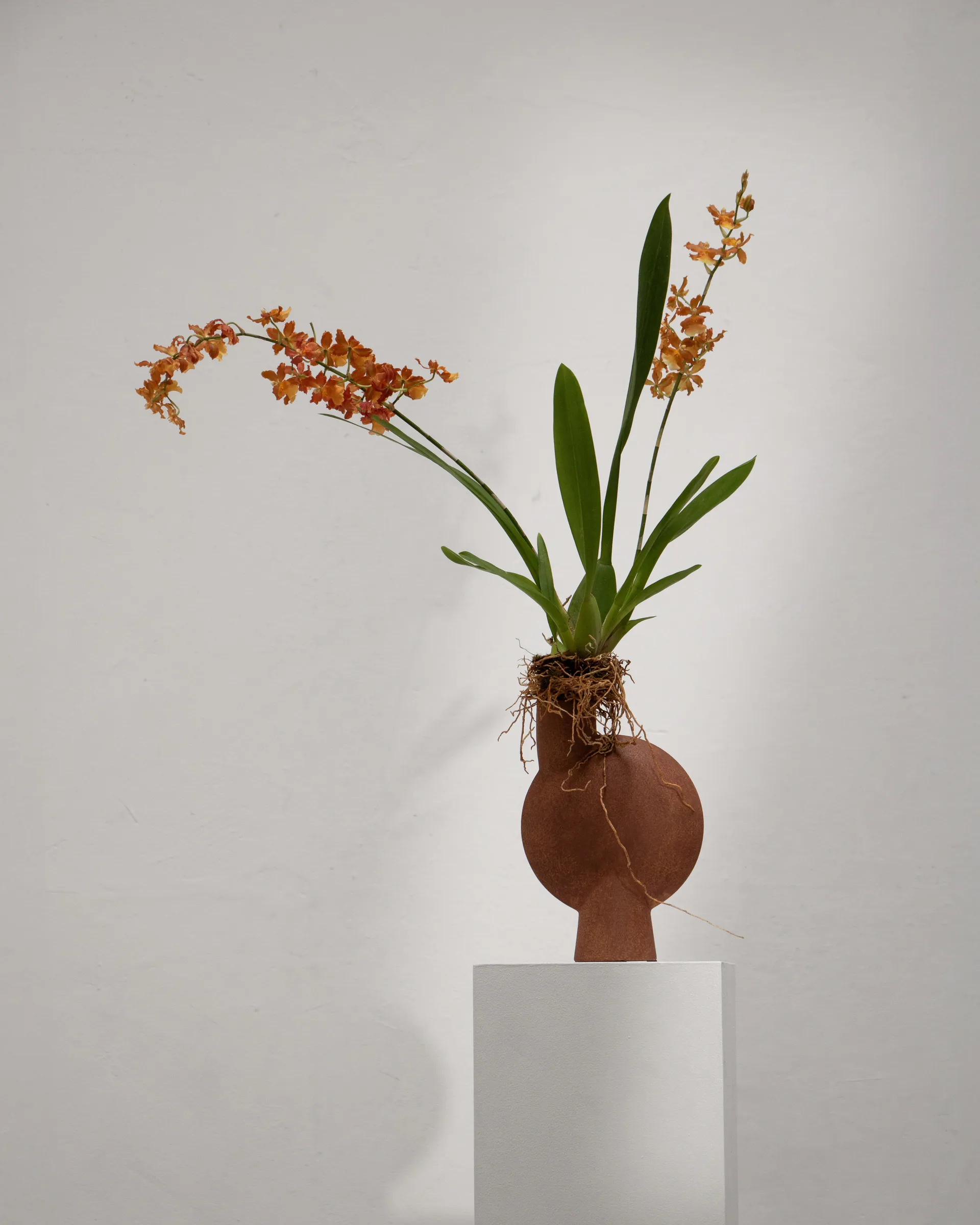 Sphere Bubl vase Medio, Terracotta 101 Copenhagen