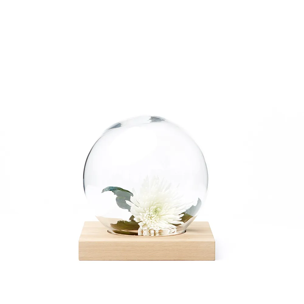 Space decoration, White oiled oak, glass A2