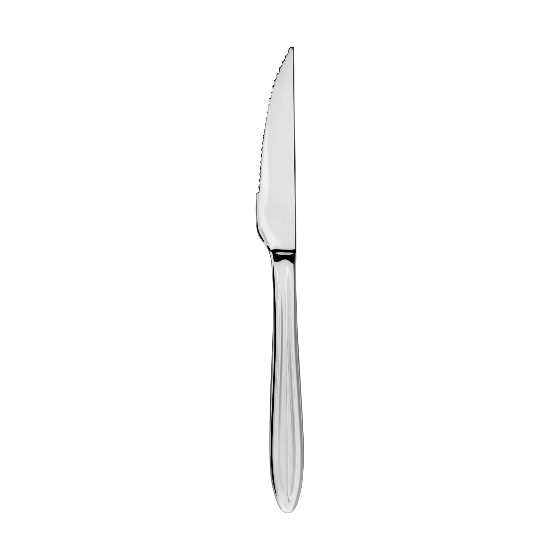 Gastro steak knife, Stainless steel Aida
