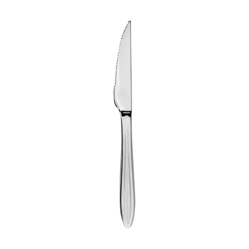 Gastro steak knife - Stainless steel - Aida