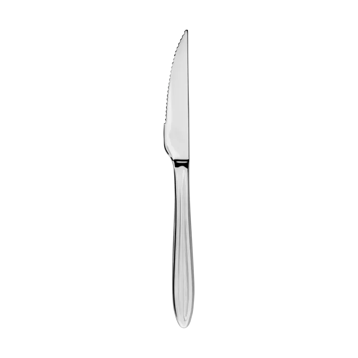 Gastro steak knife - Stainless steel - Aida