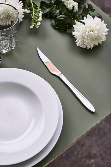 Gastro steak knife - Stainless steel - Aida