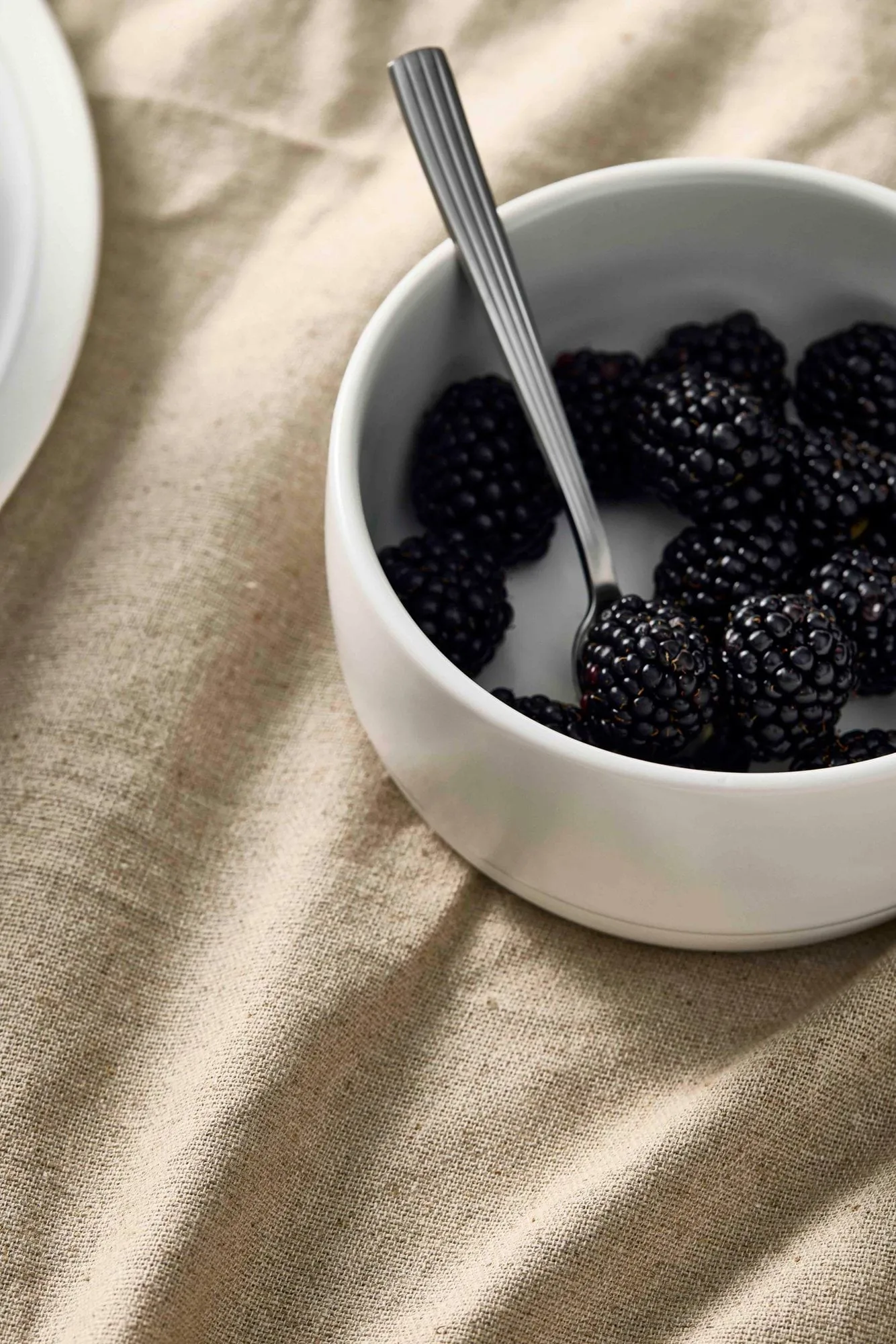 Raw bowl Ø13.5 cm, Pure Porcelain Aida