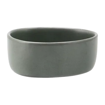 Raw Organic bowl - Northern Green - Aida