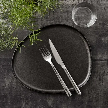 Raw steak knife - Stainless steel - Aida