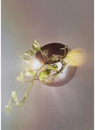 Globe flower pot vägg Ø17 cm - Silver - AYTM