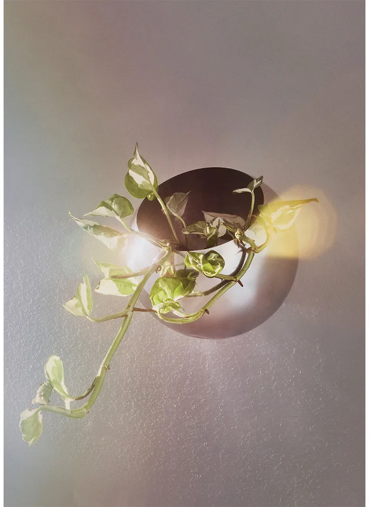Globe flower pot wall Ø21 cm, Silver AYTM