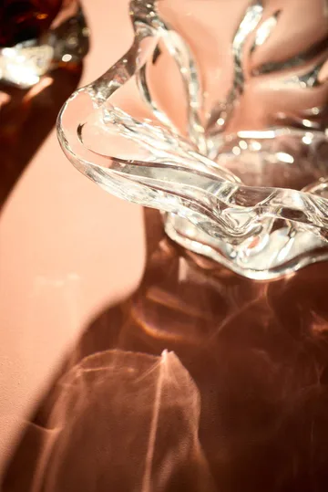 Vena decorative bowl - Clear - AYTM