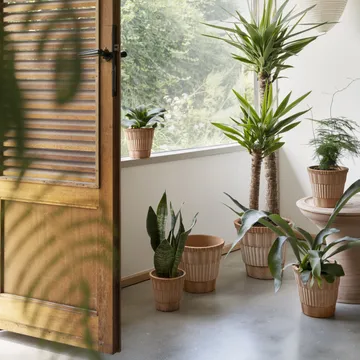Atlas raw pot with saucer - Pink, Ø25 cm - Bergs Potter