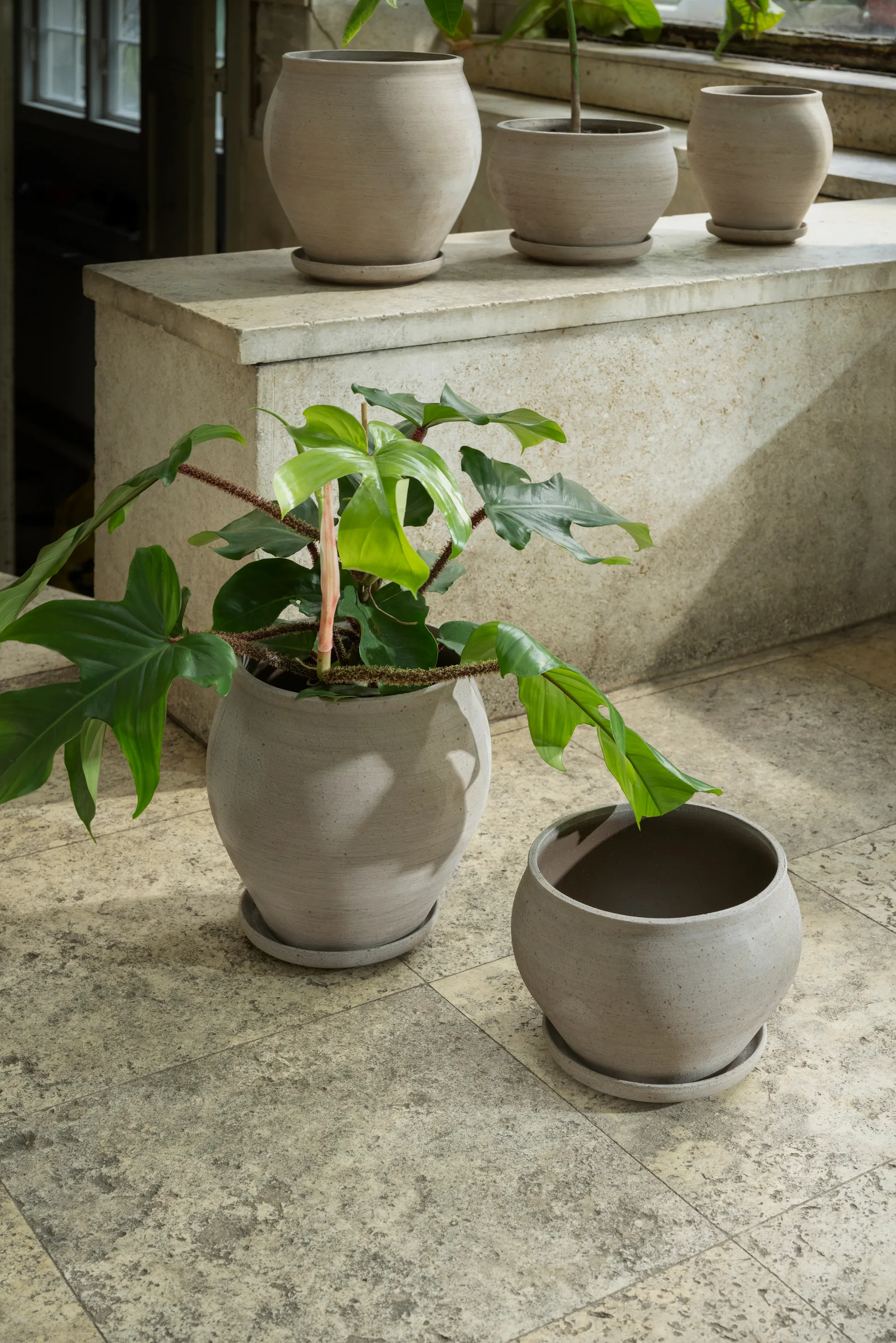 Delphi pot with saucer, 2 pieces, Grey, Ø24 cm, low Bergs Potter