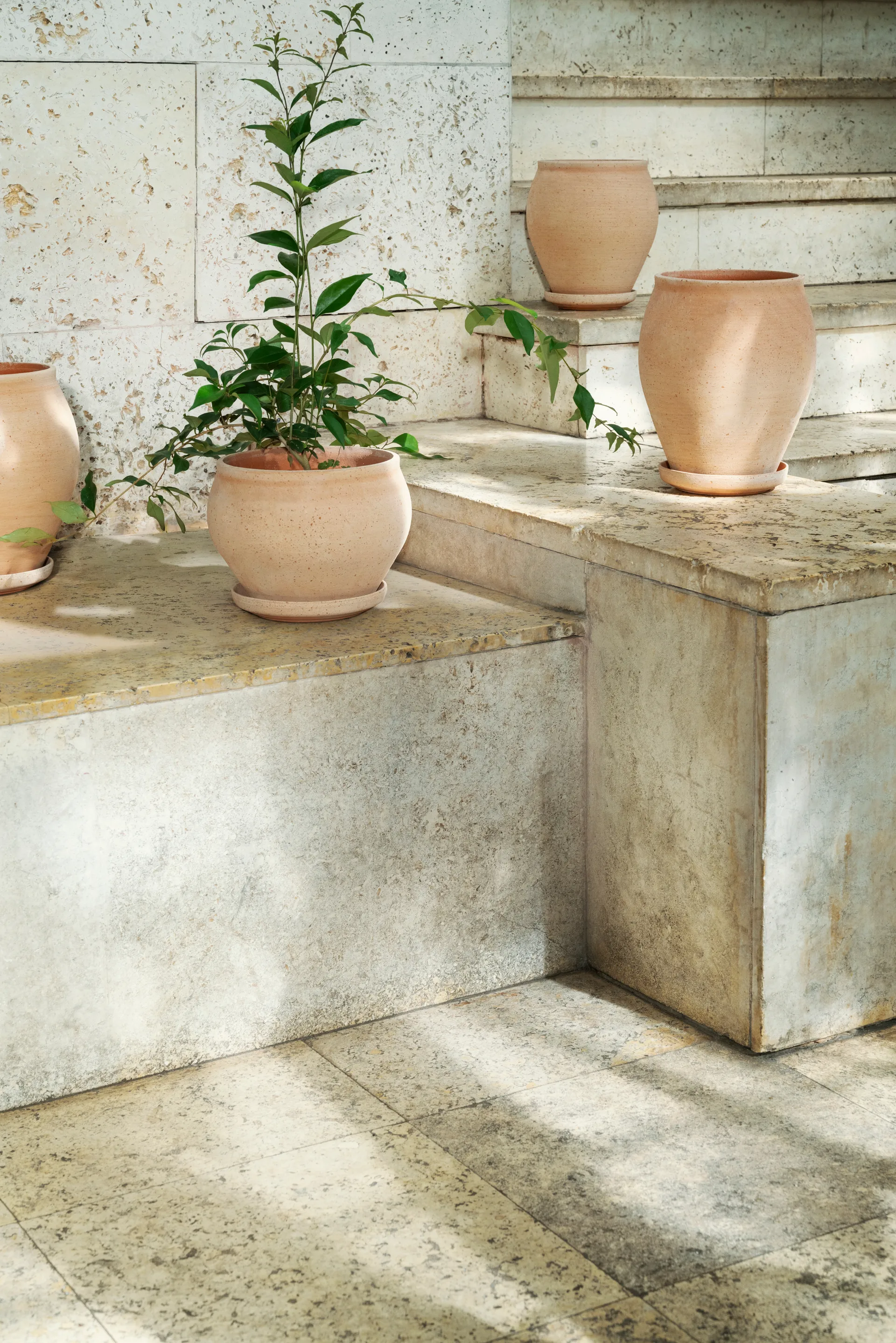 Delphi pot with saucer, 2 pieces, Pink, Ø24 cm, low Bergs Potter