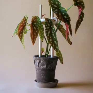 Folk Hinto plant support - Pebble White - Bergs Potter