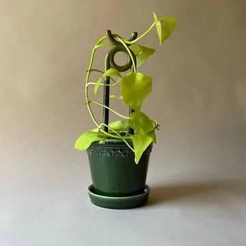 Folk Oni plant support - Moss green - Bergs Potter