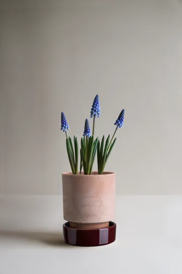 Hoff pot - Ø14 cm, Raw Rosa-Deep Burgundy - Bergs Potter