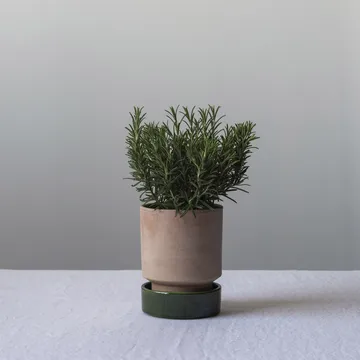 Hoff pot - Ø16 cm, Raw Rosa-Emerald Green - Bergs Potter