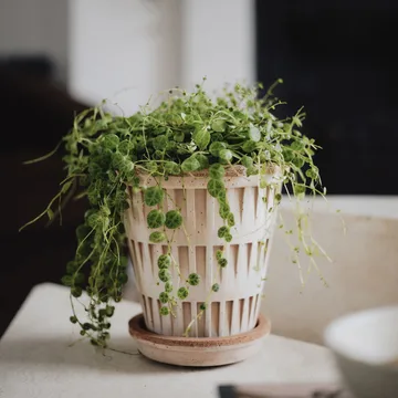 Pantheon raw pot - Pink, Ø14 cm - Bergs Potter