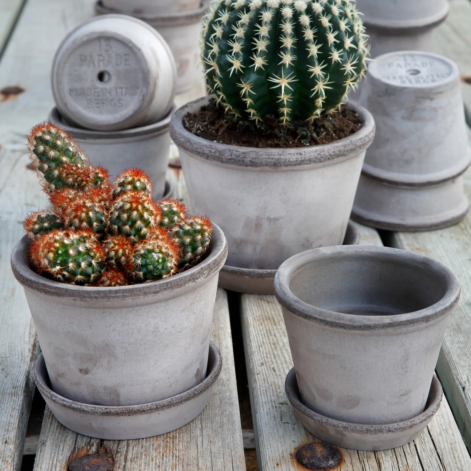 Parade flower pot Ø15 cm, grey Bergs Potter