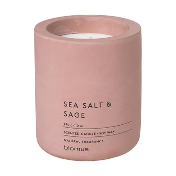 Fraga scented candles 55 hours - Sea salt & Sage-Withered Rose - blomus