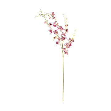 Stem orchid wax flower - Pink - Bloomingville