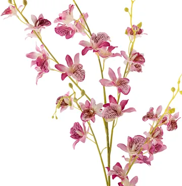 Stem orchid wax flower - Pink - Bloomingville