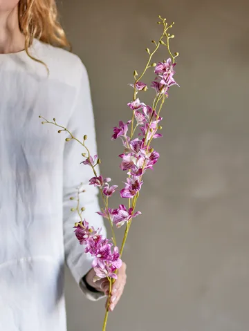 Stem orchid wax flower - Pink - Bloomingville