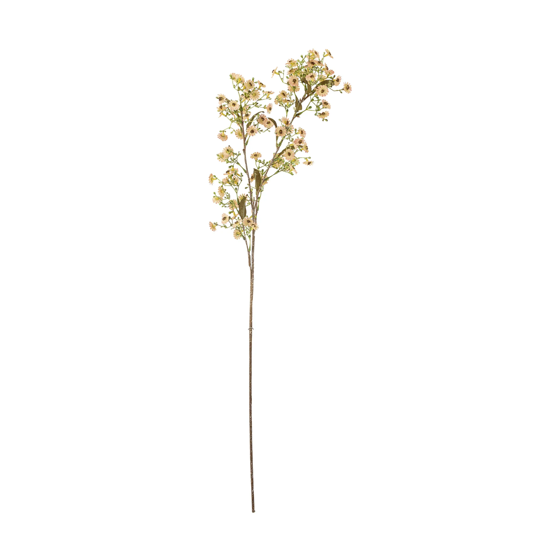 Stem wax flower, White Bloomingville