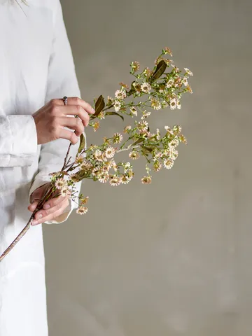 Stem wax flower - White - Bloomingville