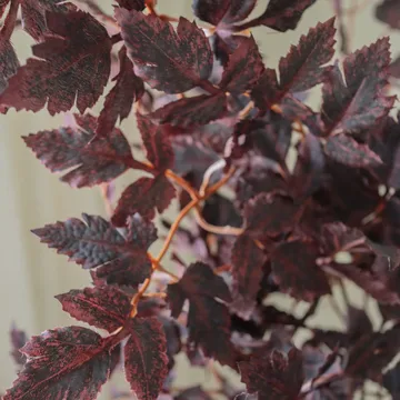 Burgundy Plum Leaves artificial bouquet - Red, 85 cm, 1 pc - Botané