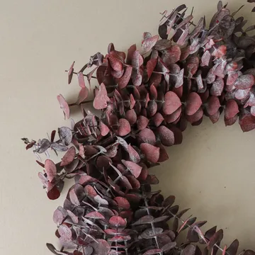 Eucalyptus Wreath wreath - Dark red, Ø40 cm - Botané