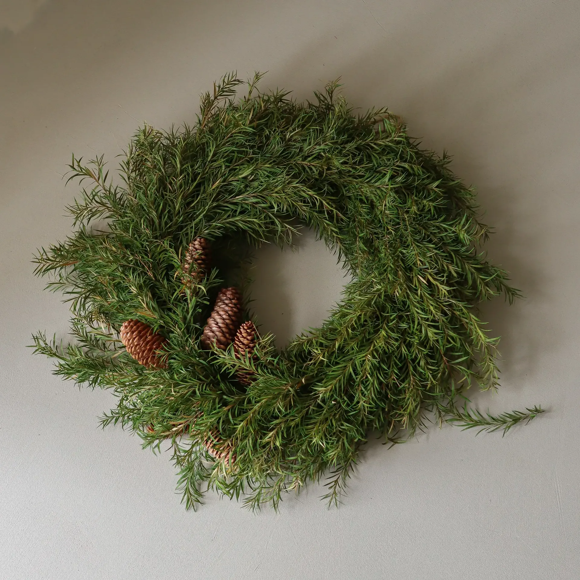 Evergreen Pine Wreath wreath, Spruce twigs, Ø40 cm Botané