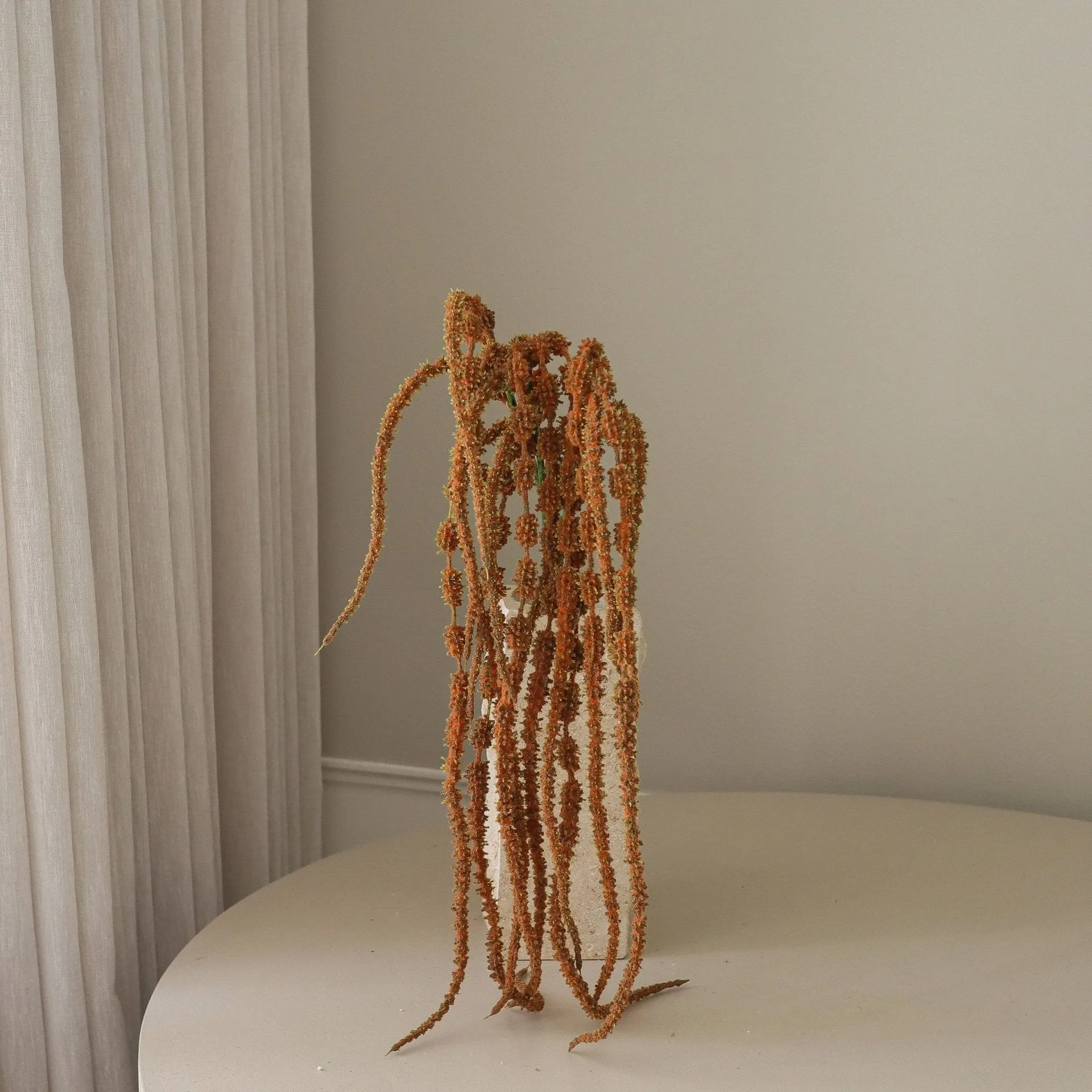 Hanging amaranth artificial flower, Brown, 112 cm Botané