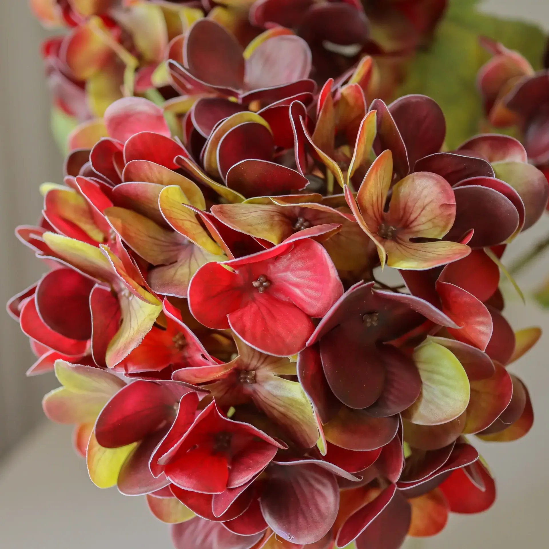 Hydrangea artificial flower, Deep burgundy, 60 cm, 1 pc Botané