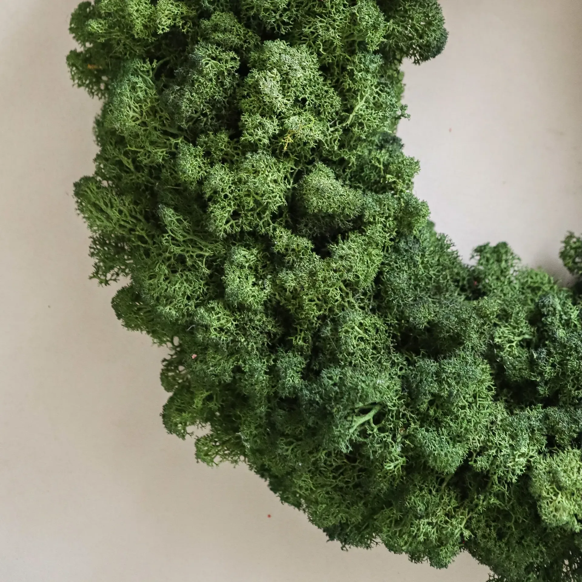 Moss Wreath wreath, Green, Ø40 cm Botané