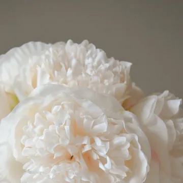 Peony artificial bouquet - Mini, cream 10 pcs - Botané