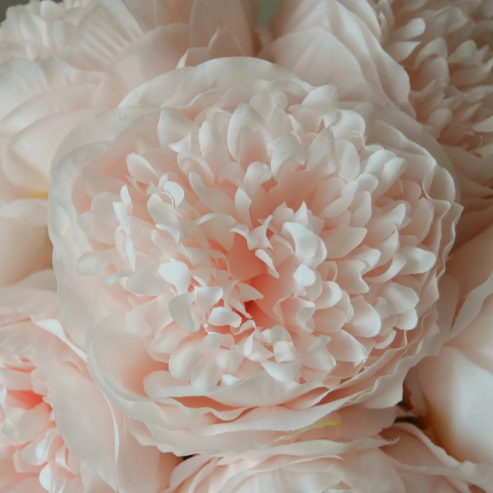 Peony artificial bouquet, Mini, light pink 10 pcs Botané
