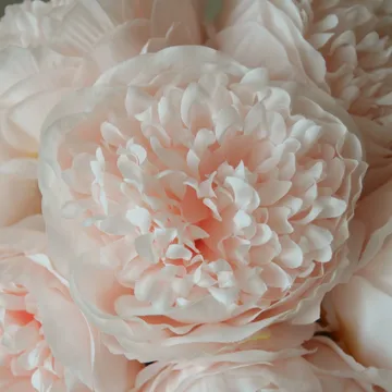 Peony artificial bouquet - Mini, light pink 10 pcs - Botané