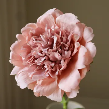 Peony artificial flower - Dusty pink, 56 cm, 1 pc - Botané