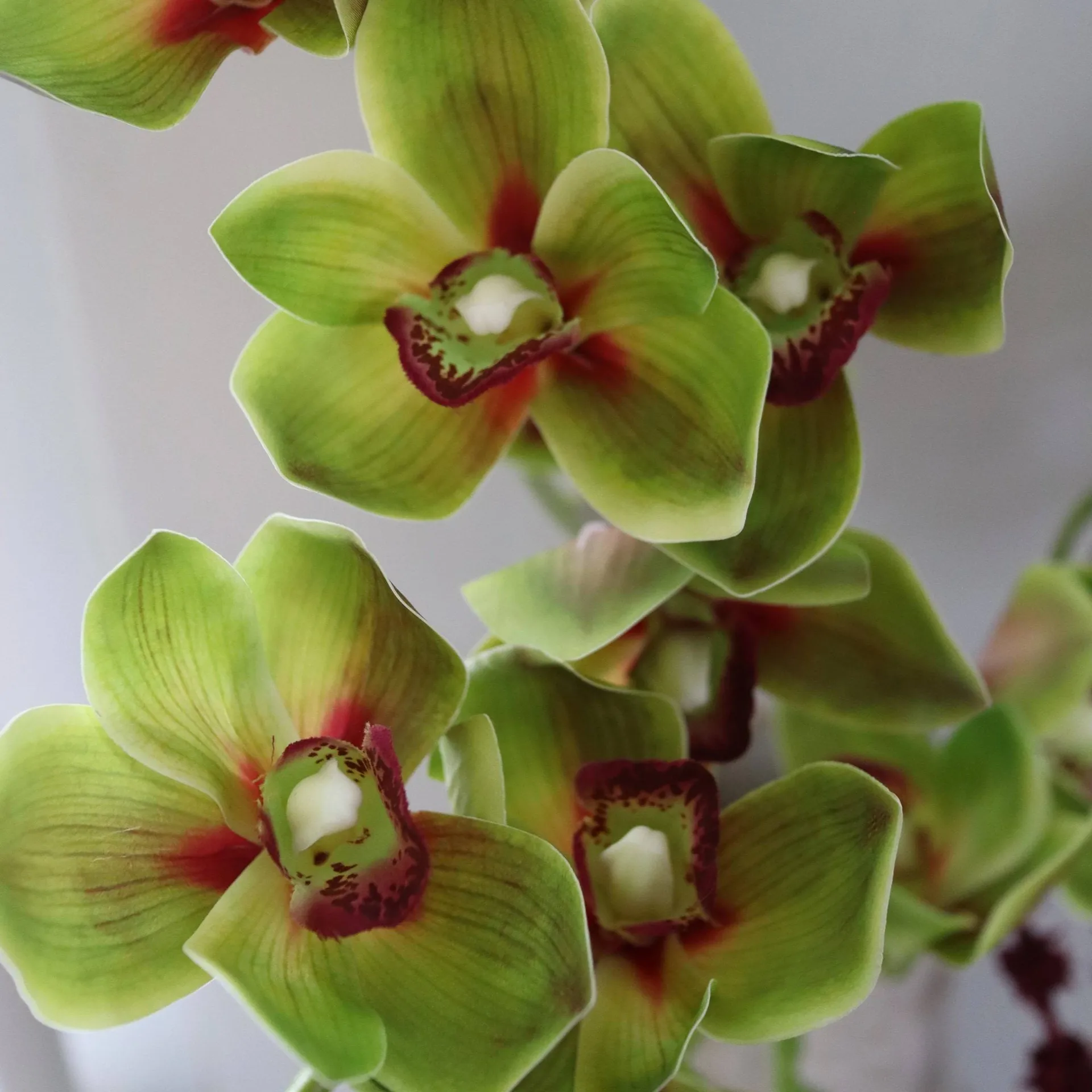 Velvet Vine artificial bouquet, Orchid-amaranth, set of 6 Botané