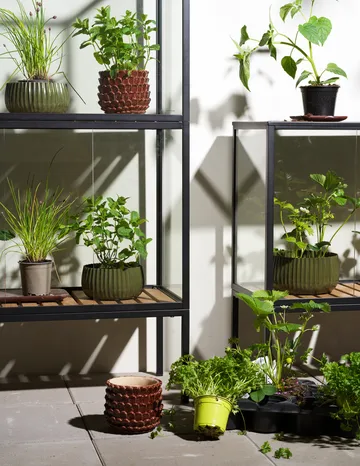 Grower Greens plant cabinet - Black, 81x137 cm - Brafab