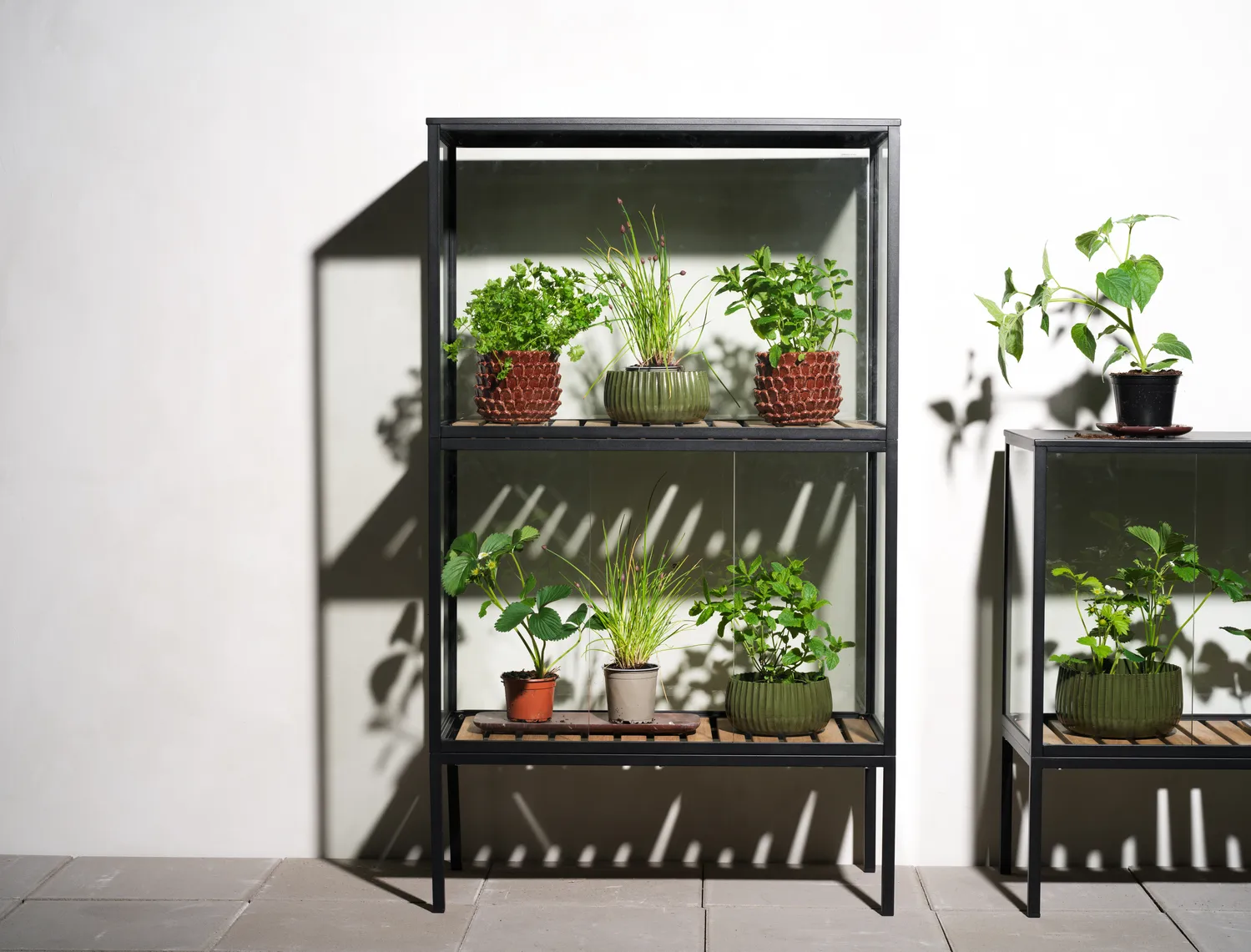 Grower Greens plant cabinet, Black, 81x137 cm Brafab