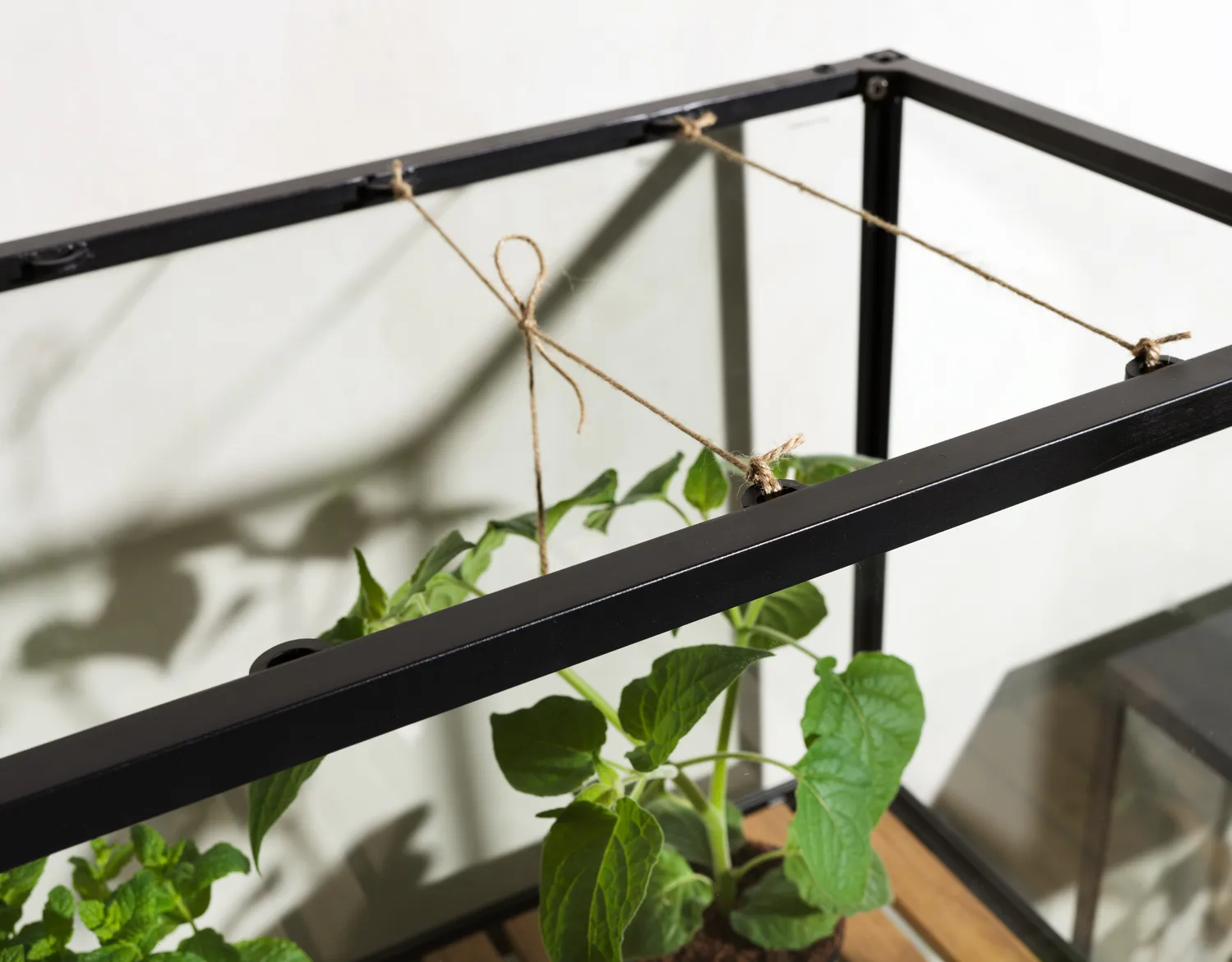 Grower Greens plant cabinet, Black, 81x137 cm Brafab