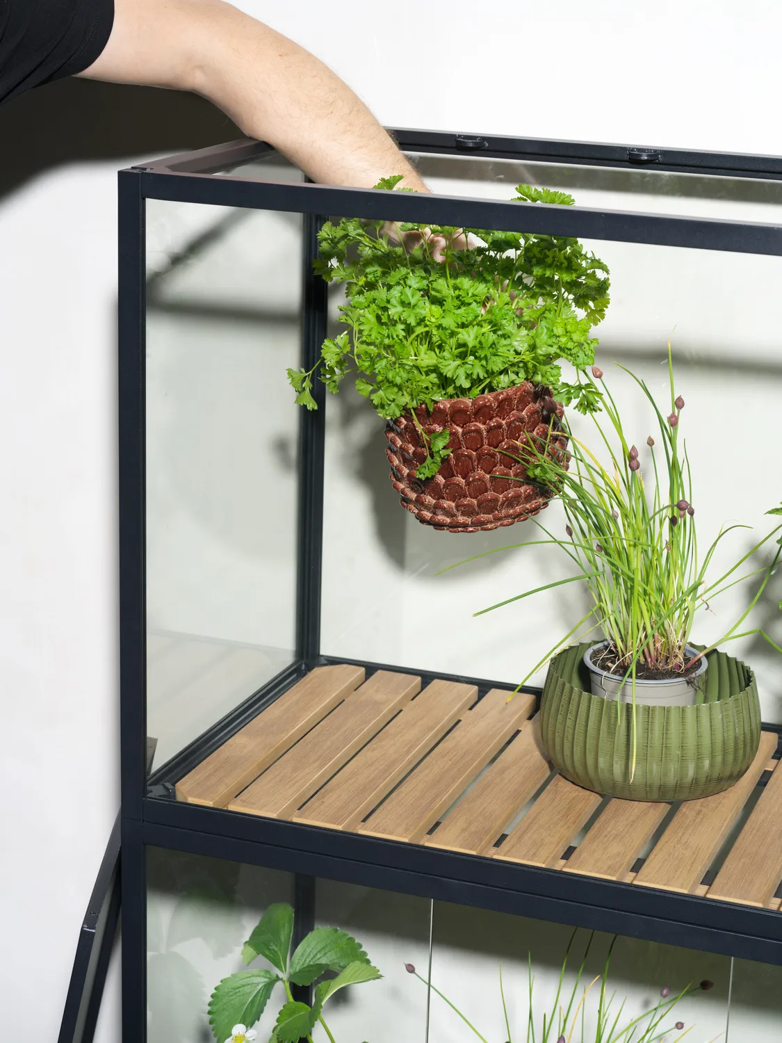 Grower Greens plant cabinet, Black, 81x137 cm Brafab
