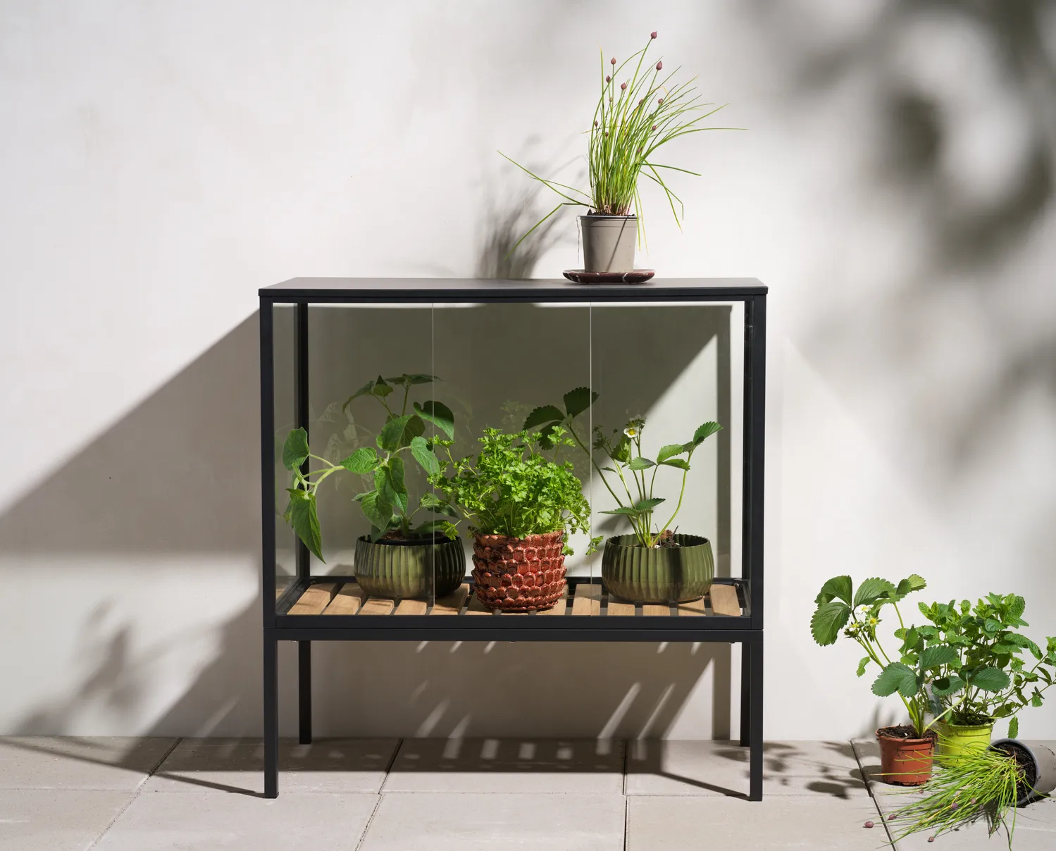 Grower Greens plant cabinet, Black, 81x82 cm Brafab