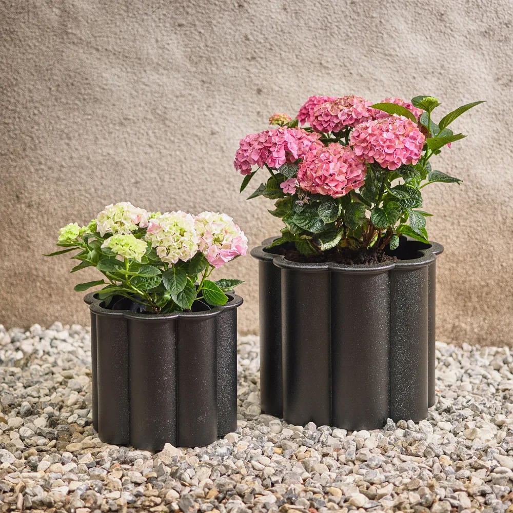Gråsippa plant pot, Black, no. 3 Ø62 cm Byarums bruk