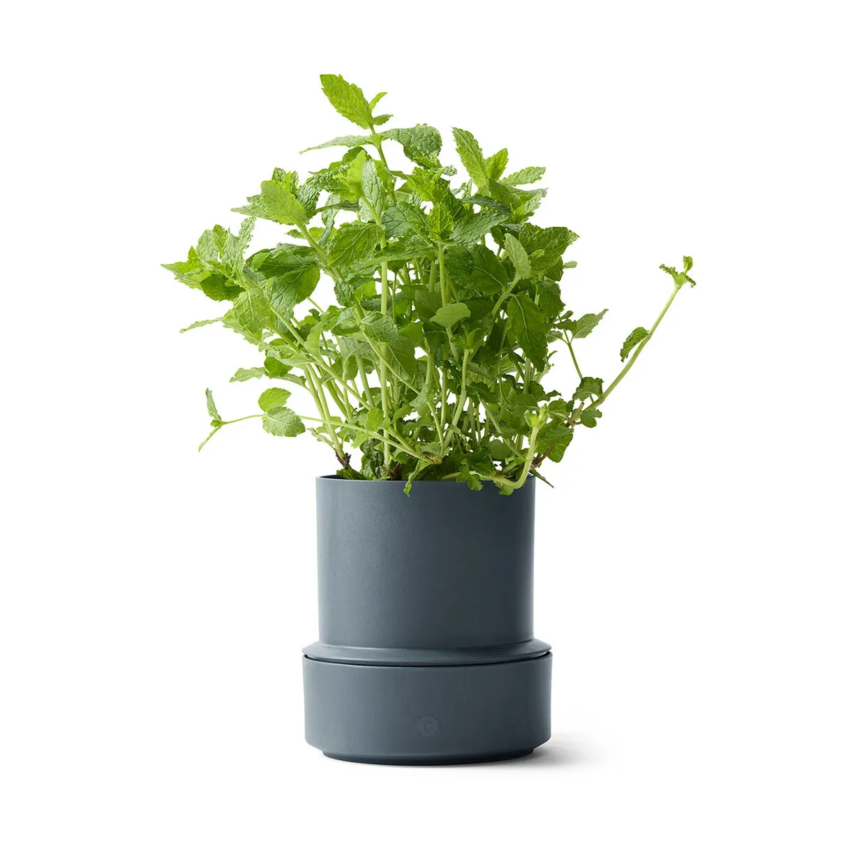 Billund self-watering herb pot, Blueberry Crushgrind