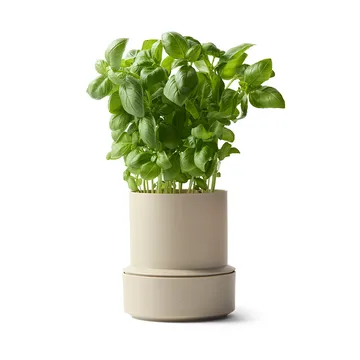 Billund self-watering herb pot - Cumin - Crushgrind