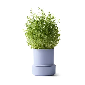 Billund self-watering herb pot - Lavender - Crushgrind