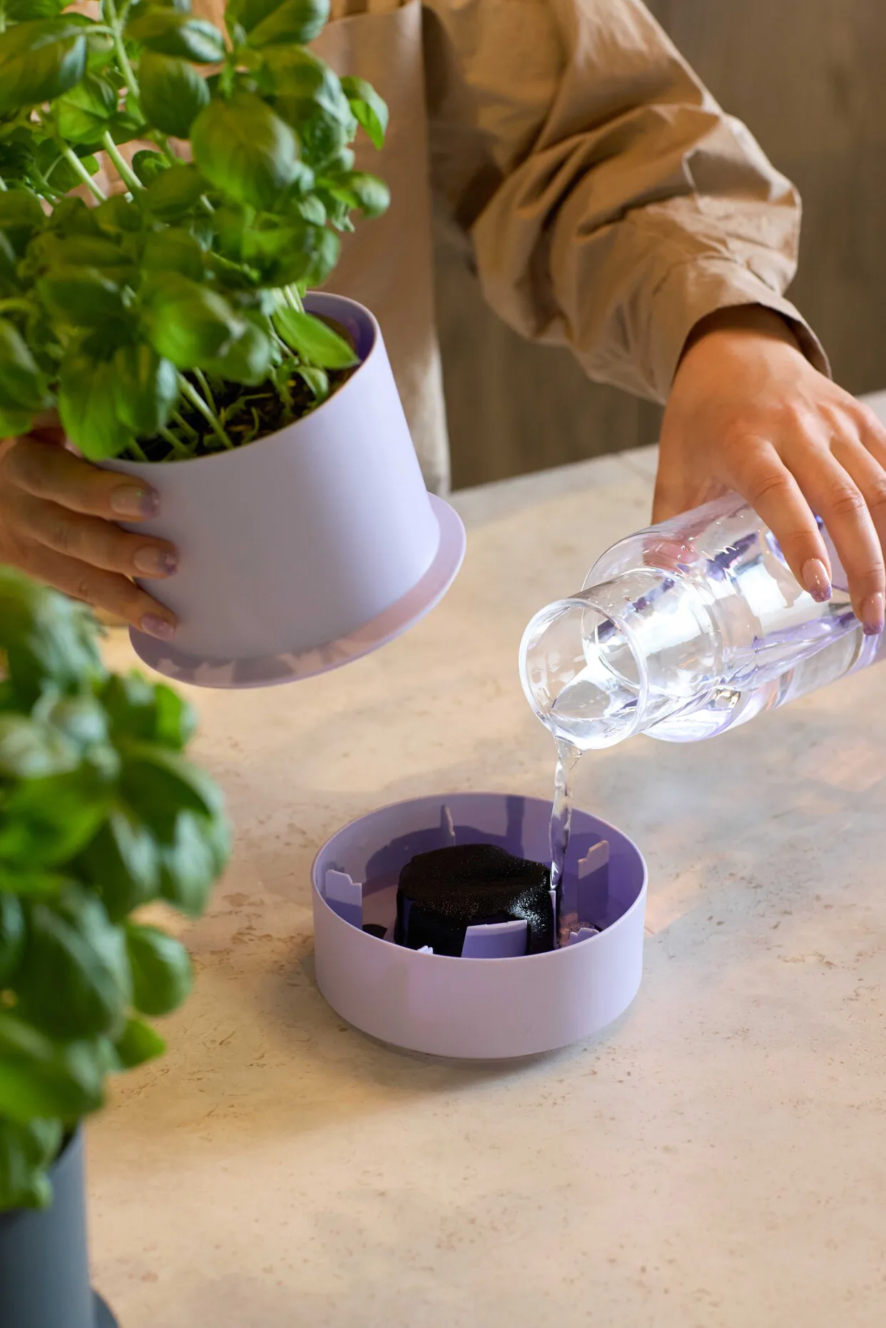 Billund self-watering herb pot, Lavender Crushgrind