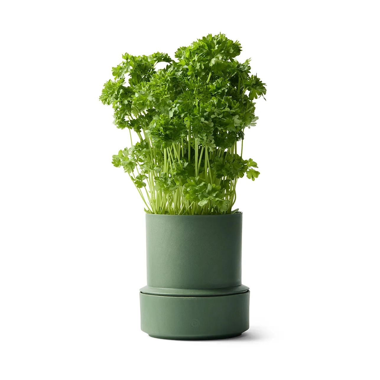 Billund self-watering herb pot, Parsley Crushgrind