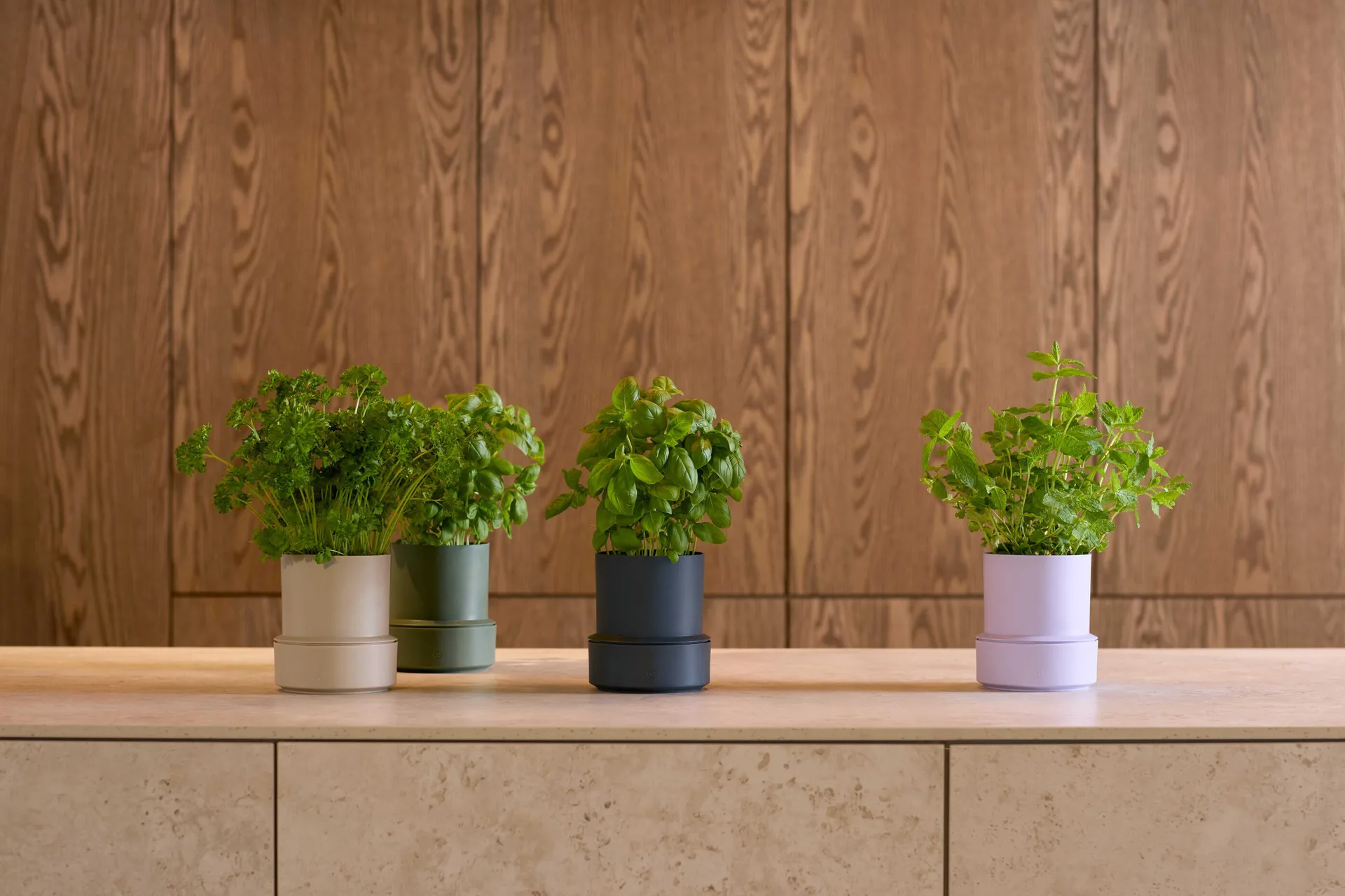 Billund self-watering herb pot, Parsley Crushgrind